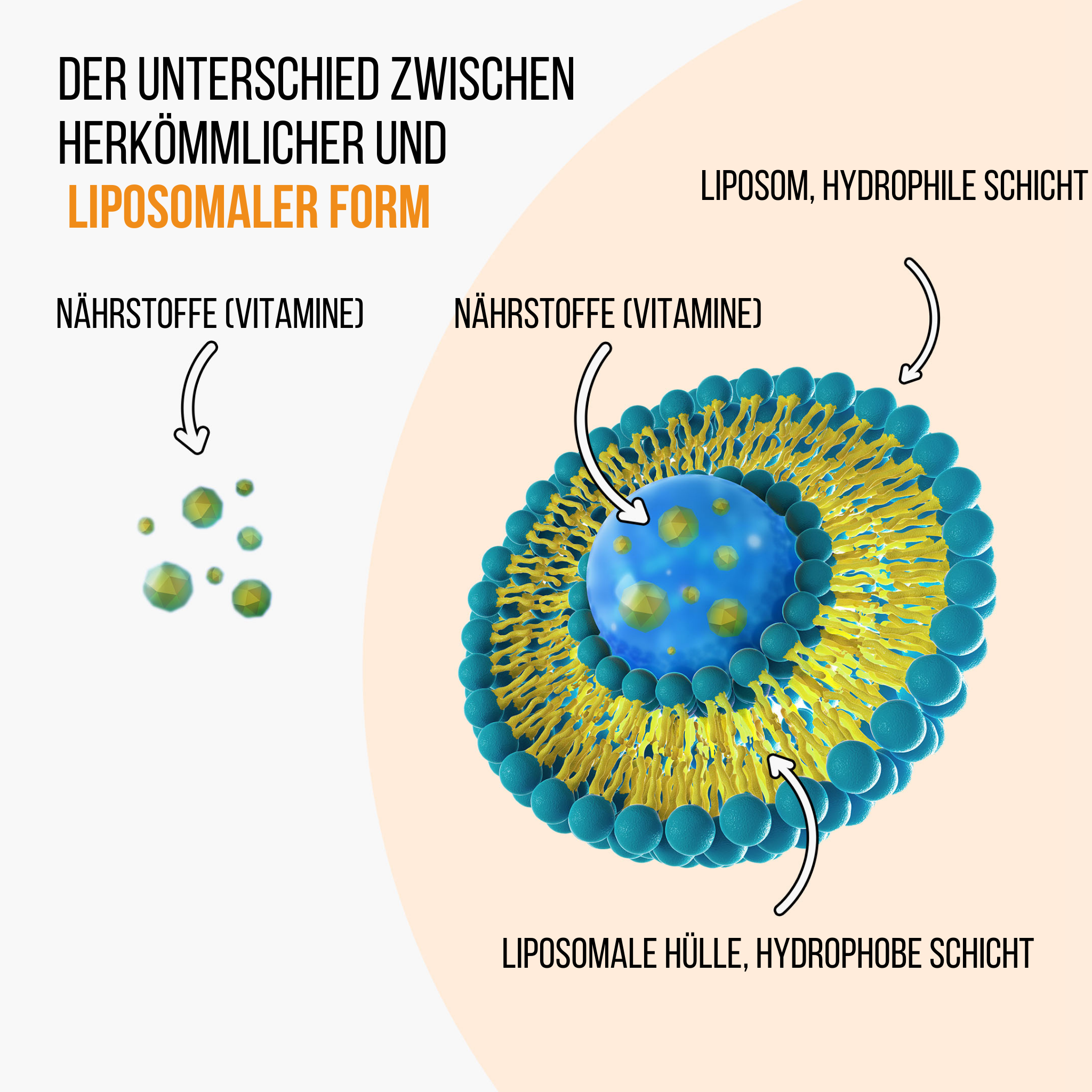 (Němčina) lipo vs bezna forma